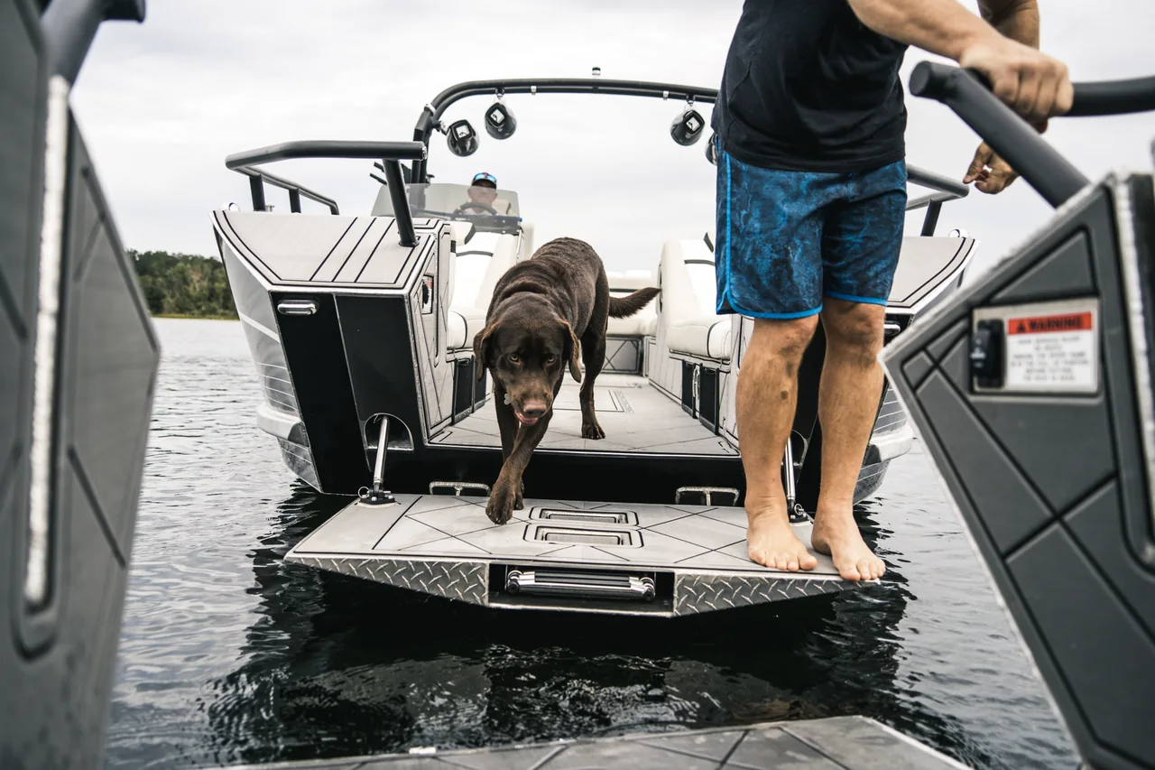 A dog on an Anthem boat's stern swim platform beside a dock
